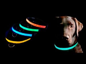 светящийся ошейник для собак