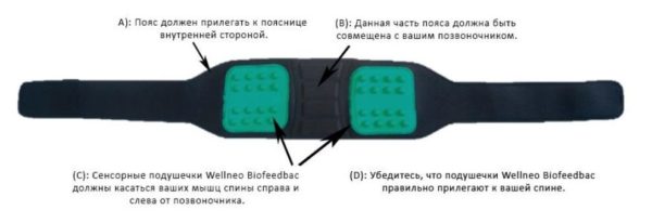 Корсет для мышц спины