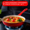 Сковорода чугунная с эмалированным покрытием, 20 см, красная
